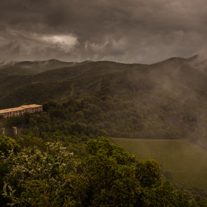 Tenuta San Guido