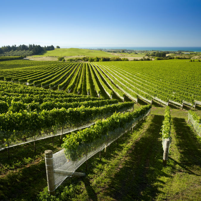 Hawke's Bay New Zealand