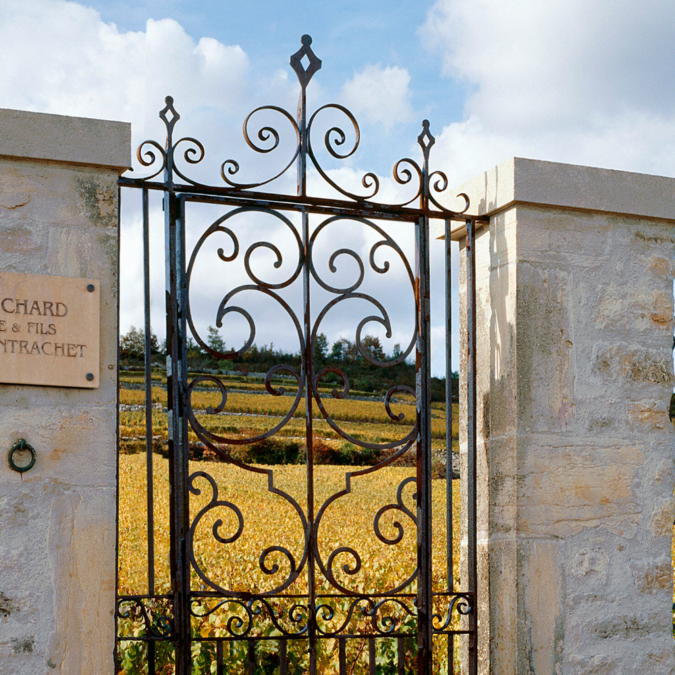 Bouchard Pere et Fils Vineyard Gates