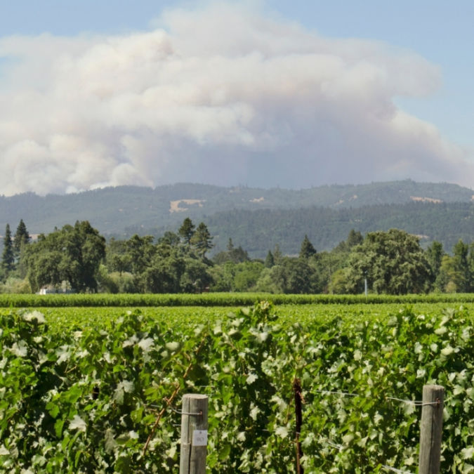 The Butts Fire in Pope Valley over shadows the vineyards and winerys of Californias Napa Valley