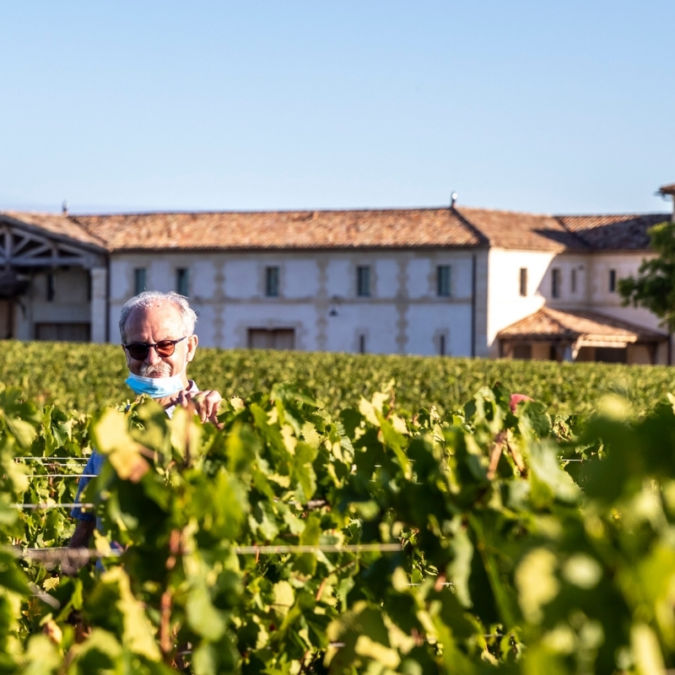 Château Lafleur vineyard in Bordeaux