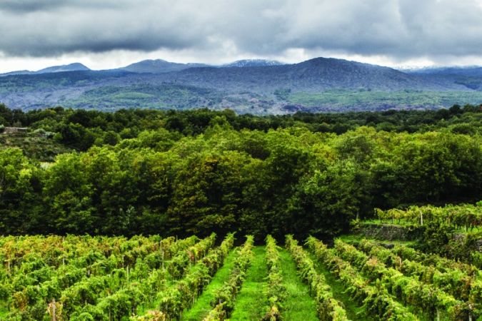 Mount Etna in the distance of Tenuta Tascante Sciaranuova vineyard in Sicily