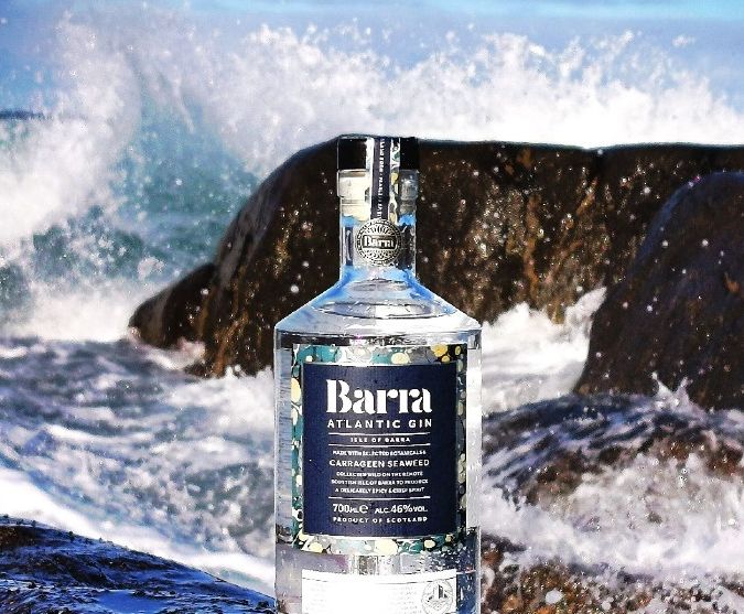 barra gin