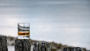 Alberta Distillers, Reifel Rye Canadian Whisky | Club Oenologique