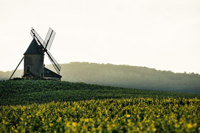 Château Moulin-à-Vent