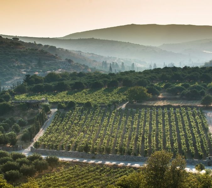 crete landscape in peza wine region