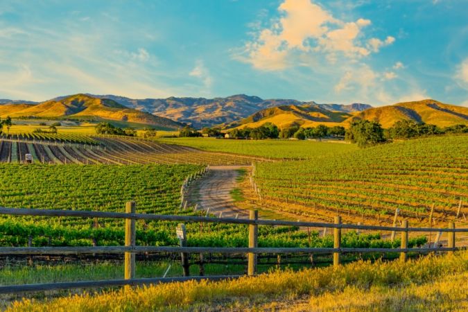 santa barbara wine country