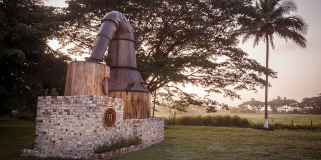 Jamaican rum how the island is integral to the spirit's funky flavour