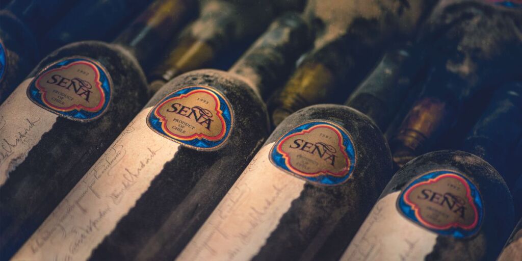 Seña wine 1995-2021: tasting Chile's icon wine