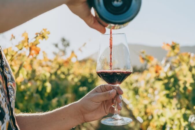 Best red wines for summer cover image