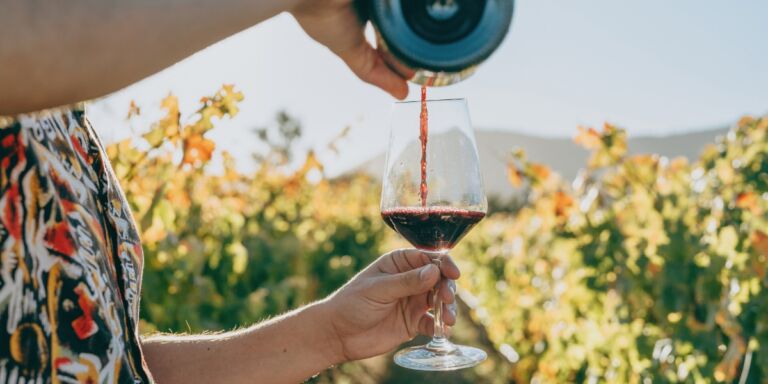 Best red wines for summer cover image