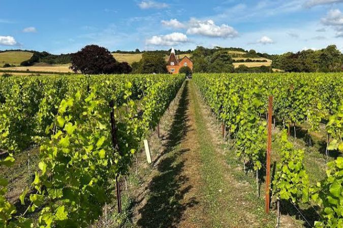 penn oast vineyard and farm house