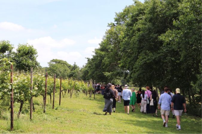 henners vineyard tour