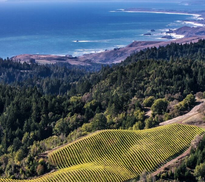 Drinks trends 2025 lead