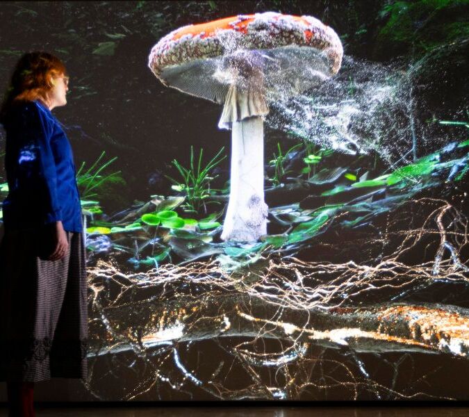 fungi installation at soil at somerset house