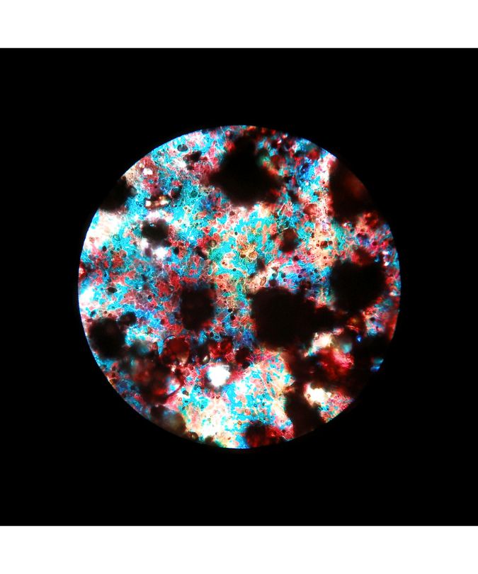 microscopic view of soil