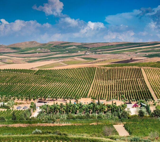 View over the Contessa Entellina, a part of the Sicilia DOC