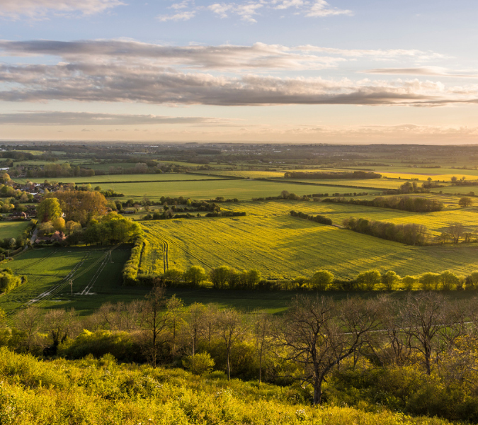 The rolling hills of the Kent countryside at golden hour. This small pocket of the UK crafts some of the best English Chardonnay.