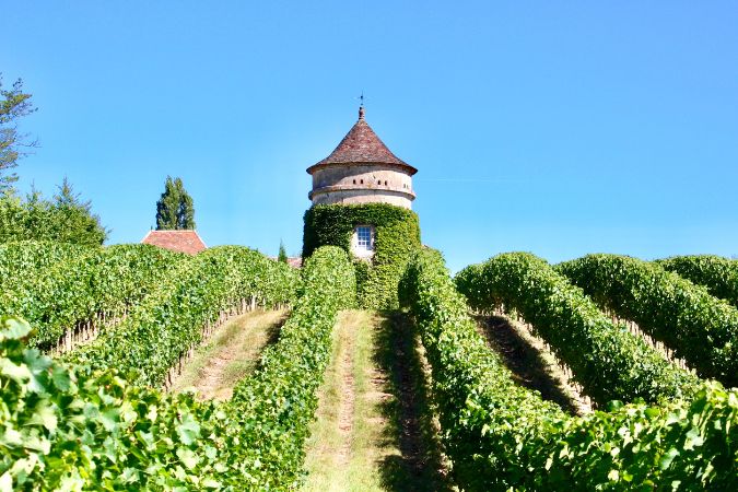 Pécharmant estate Château Terre Vieille