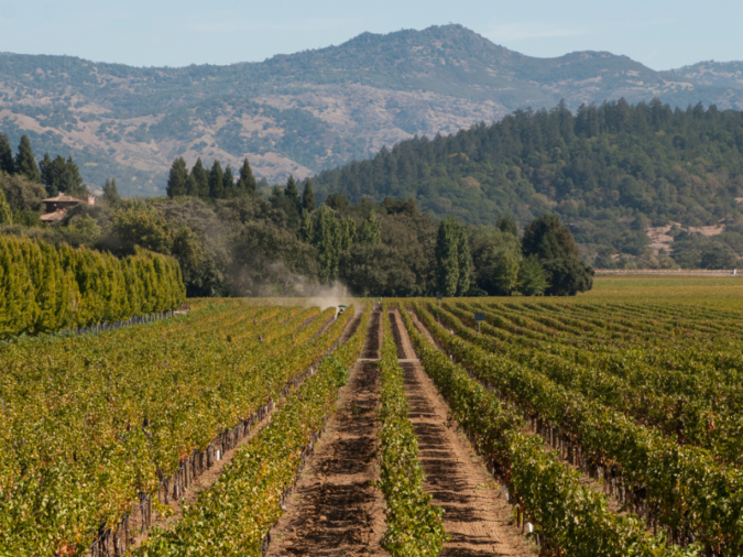 Napa Valley