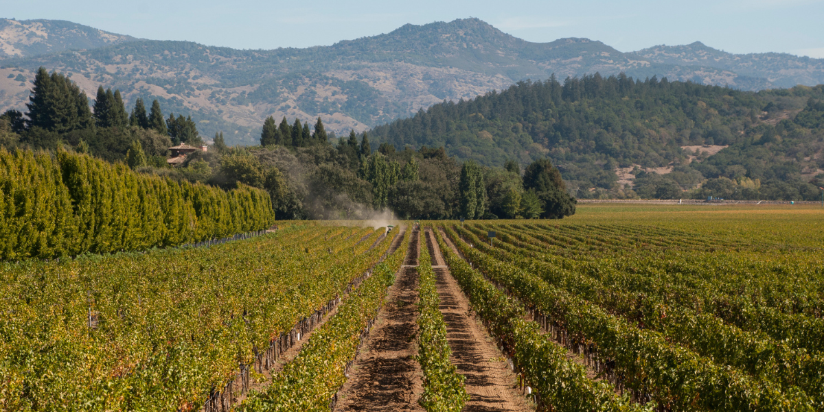 Napa Valley