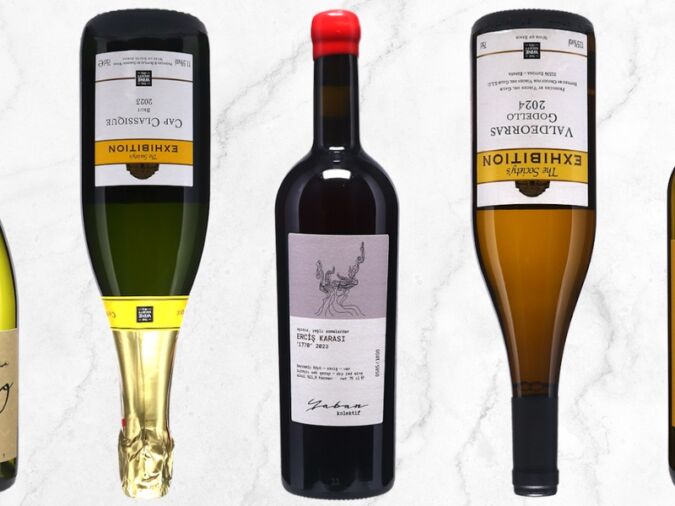 The best wine society wines lead image 2025