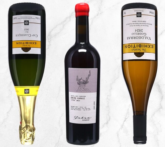 The best wine society wines lead image 2025