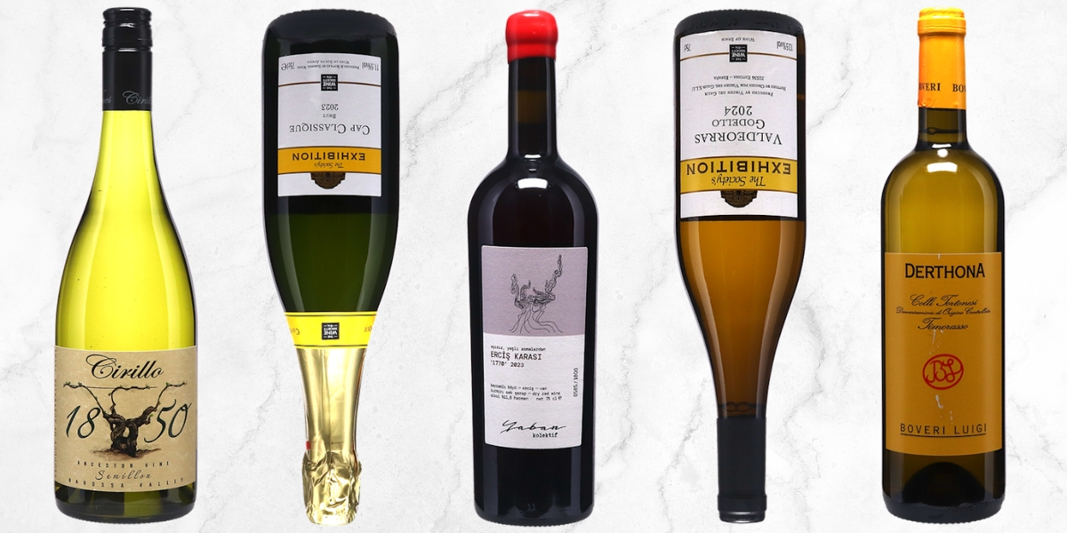 The best wine society wines lead image 2025