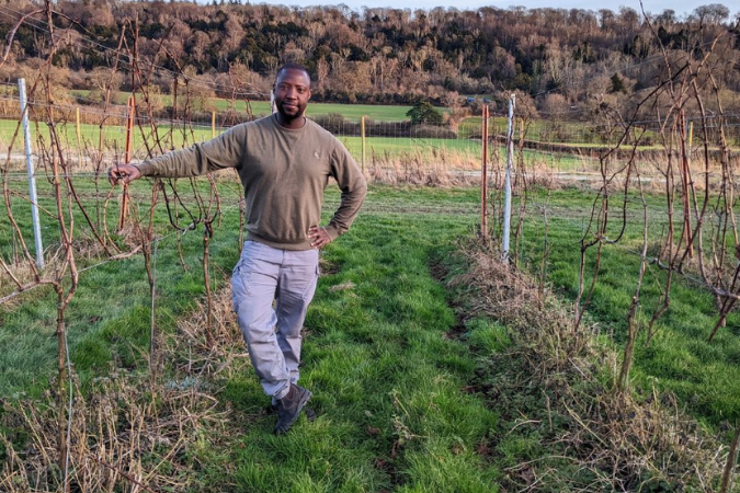 A winemaker stands amongst the vines