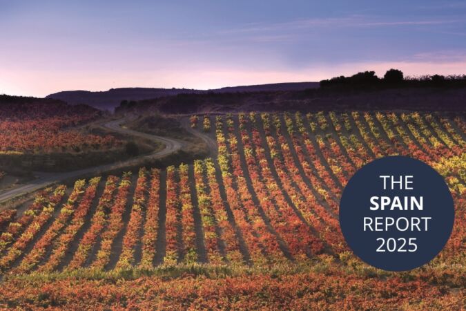 A vineyard belonging to La Rioja Alta in autumn