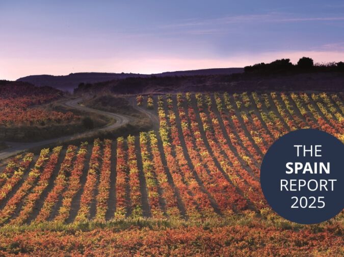 A vineyard belonging to La Rioja Alta in autumn