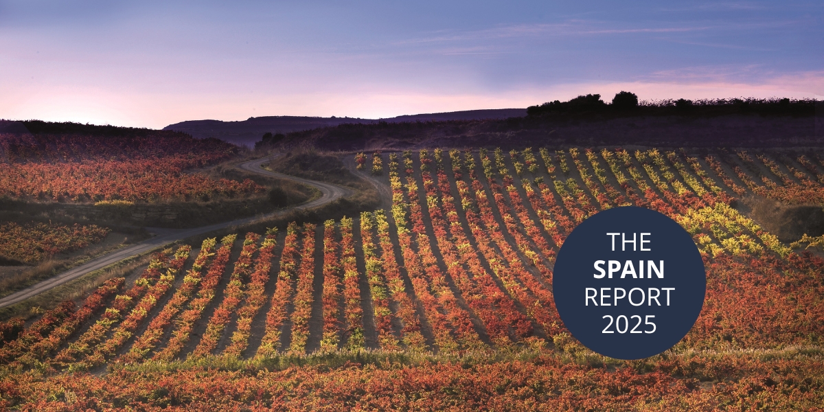 A vineyard belonging to La Rioja Alta in autumn