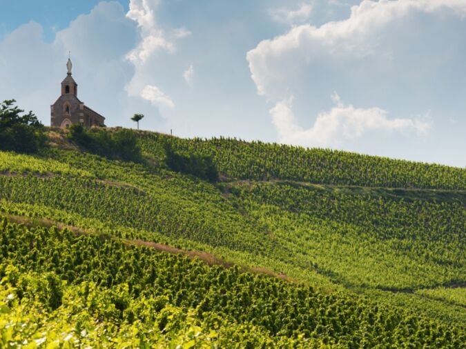 Vineyards in Fleurie, Beaujolais