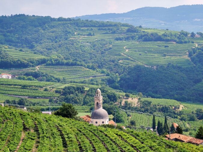 Valpolicella lead