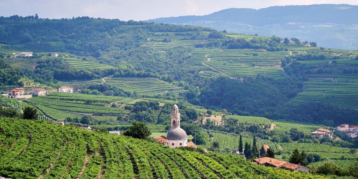 Valpolicella lead
