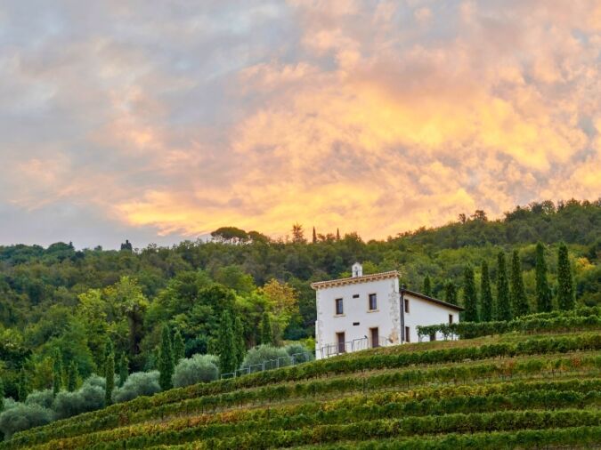 Bertani estate