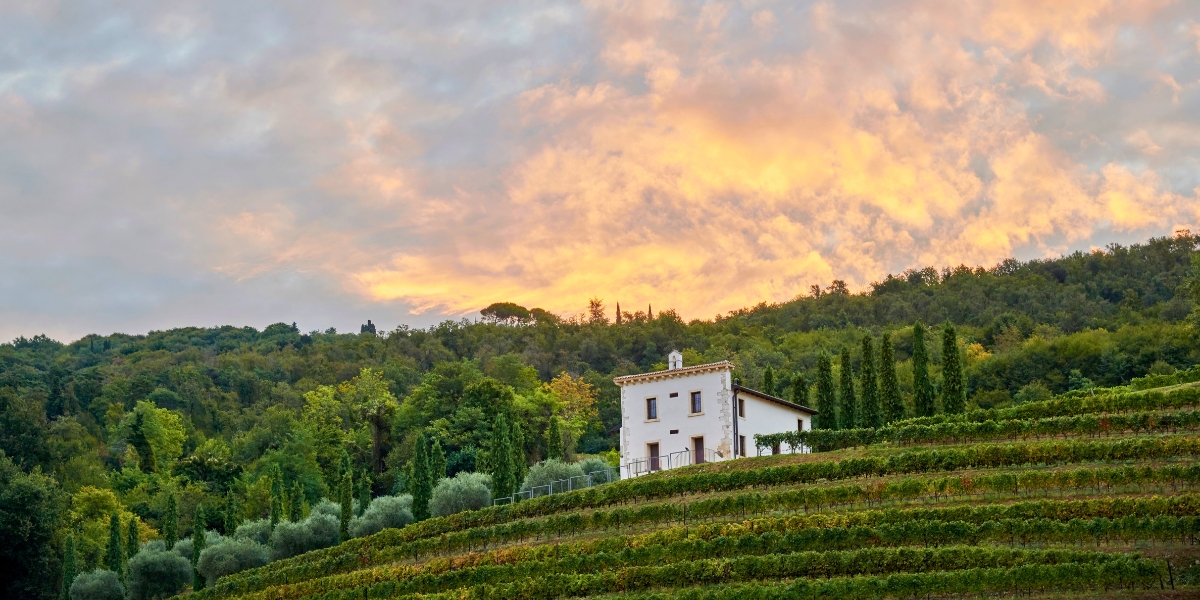 Bertani estate