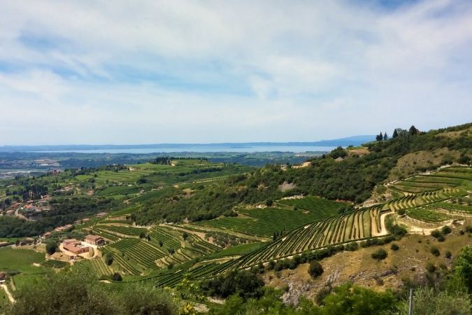 Valpolicella landscape