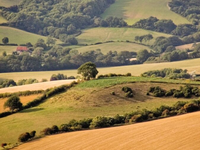 The rolling hills of Dorset