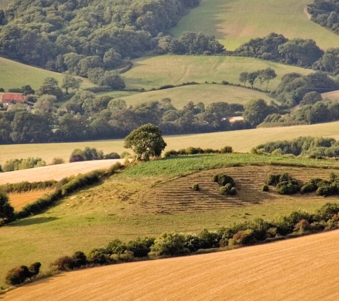 The rolling hills of Dorset