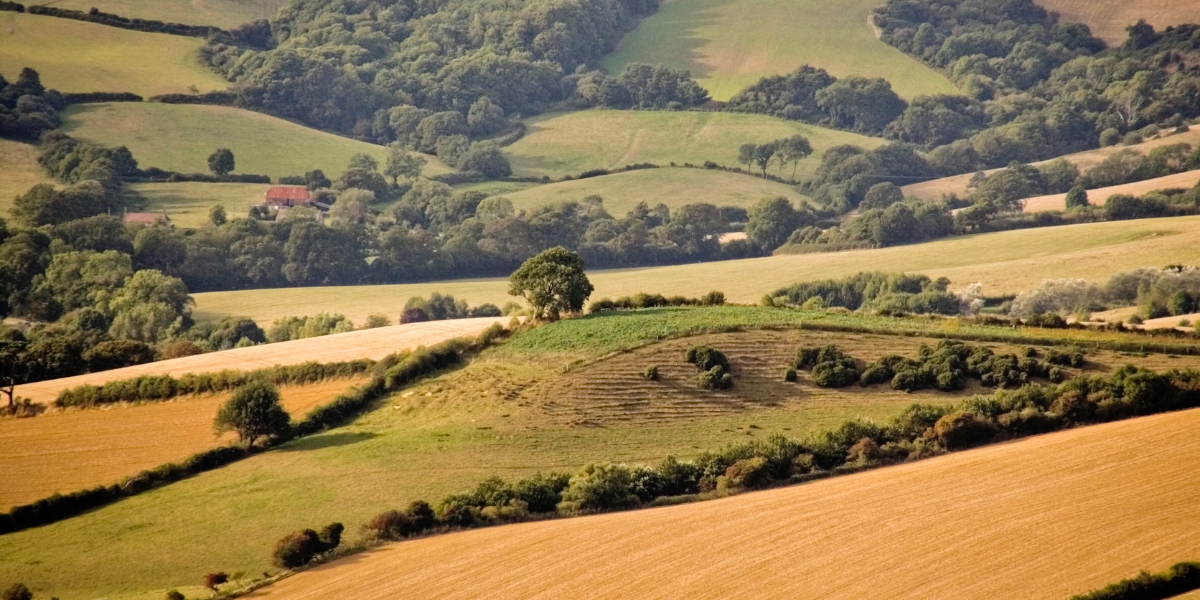 The rolling hills of Dorset