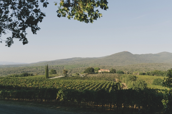 A view of the landscape and vineyards at Grattamacco