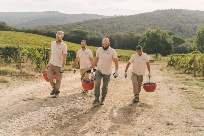 Four workers in the vineyard at Grattamacco