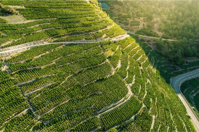 One of the steep slopes that houses some of Jordan Kellerei's vineyards