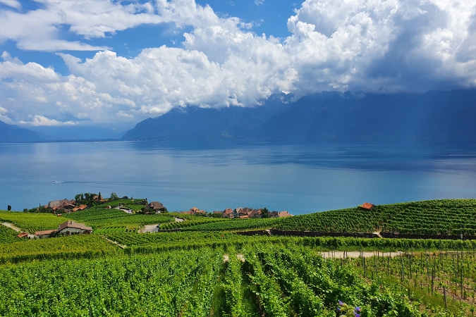 A stunning vista of the Domaine de Bovy vineyard, lake and mountains
