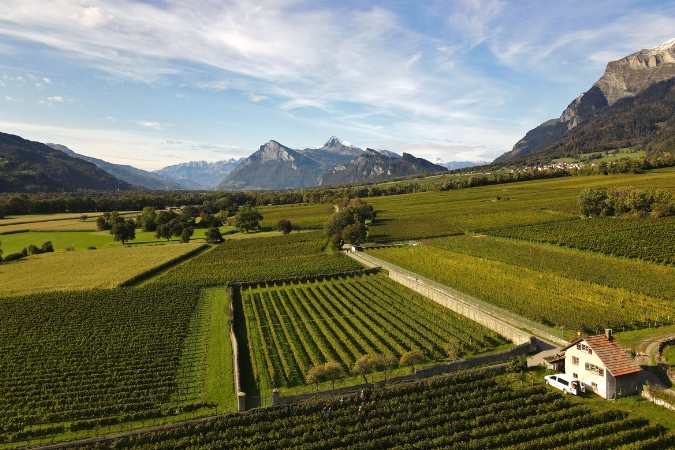 The stunning vineyards and mountain view of Weingut Fromm, one of the best wineries in Switzerland for tours and tastings