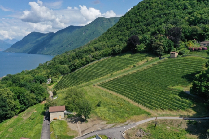 A stunning landscape shot of Fattoria Moncucchetto, one of the best wineries in Switzerland for tours and tastings