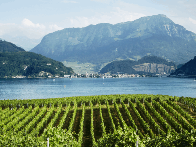 The stunning landscape of Weingut Kastanienbaum, one of the best wineries in Switzerland for tours and tastings