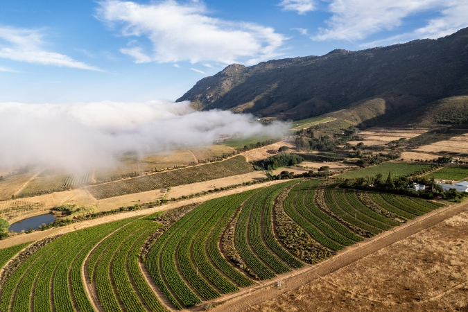 An aerial view of Mullineux's Roundstone vineyard