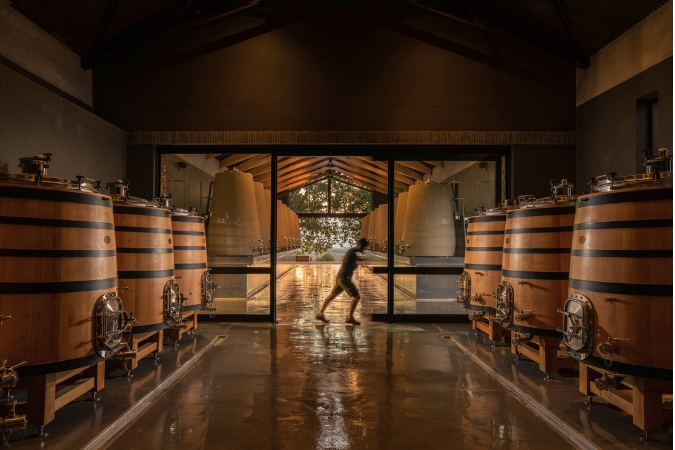 A view out of the winery at Damascene, with barrels on both sides